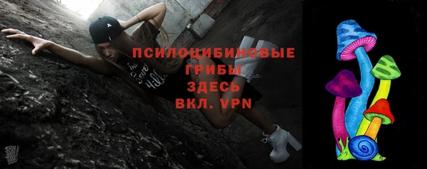 шишки Новодвинск