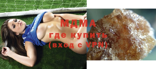шишки Новодвинск