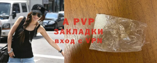 шишки Новодвинск