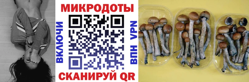 Галлюциногенные грибы мухоморы  магазин  наркотиков  Алзамай 